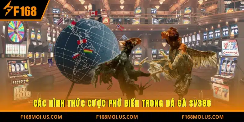 Các hình thức cược phổ biến trong Đá Gà SV388