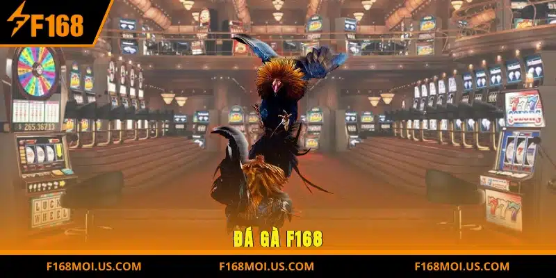 Đá gà F168