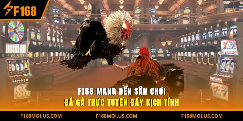 F168 mang đến sân chơi Đá gà trực tuyến đầy kịch tính