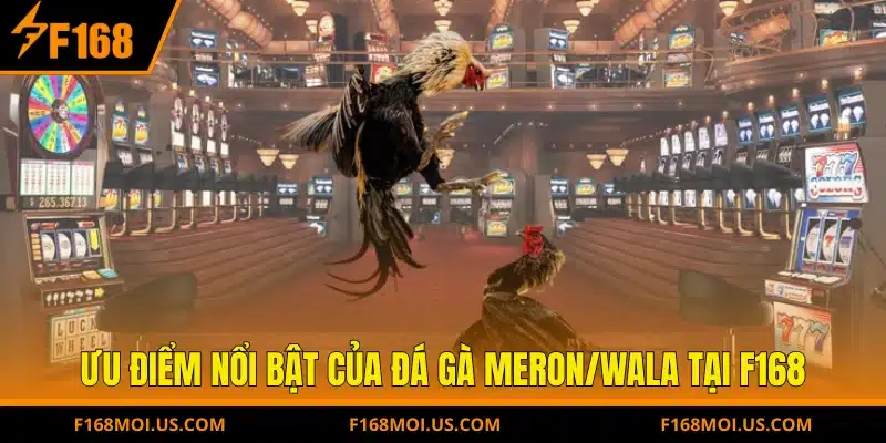 Ưu điểm nổi bật của Đá gà Meron/Wala tại F168